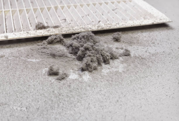 Best Affordable Duct Cleaning Services  in Bryant, WA