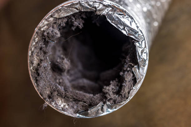 Best HVAC System Cleaning  in Bryant, WA